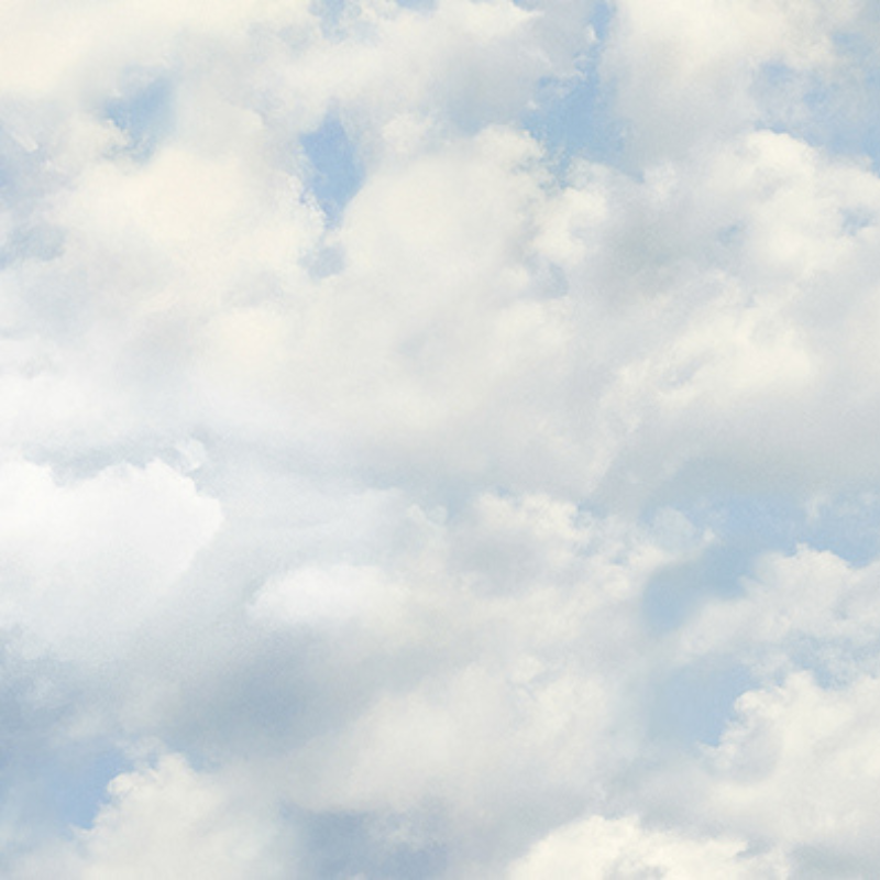 Pantone Introduces Cloud Dancer MC Insights 2